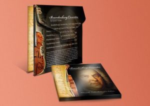 custom cd/dvd deluxe tab sleeves